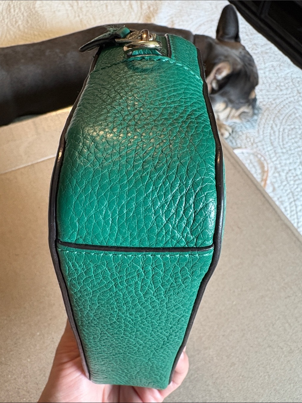 Gently PreLoved Coach Camera Crossbody Bag. - Picture 6 of 13